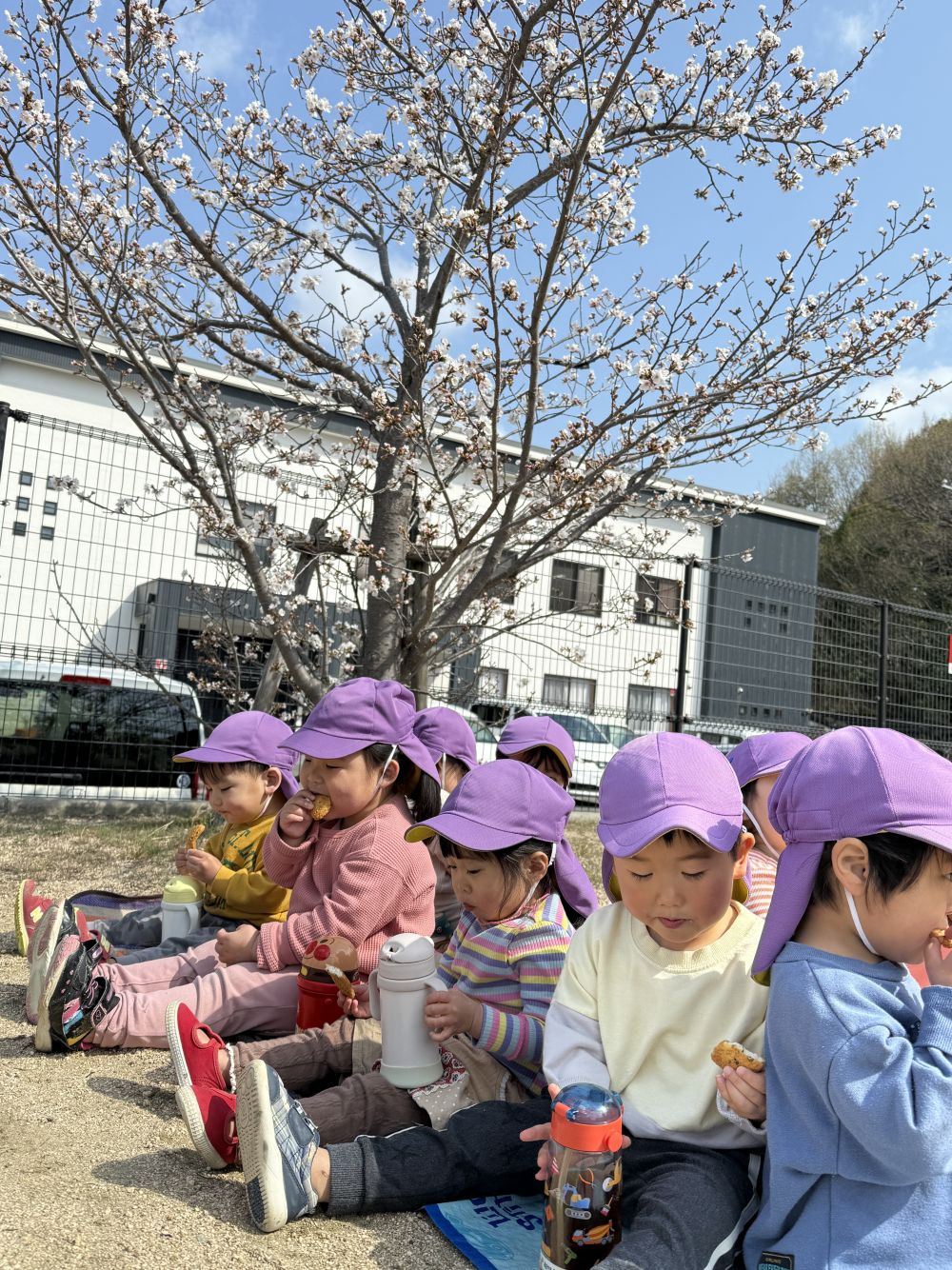 広場について…
桜の木の下で、おやつタイム🍪
お花見しました🌸
ぽかぽかでとっても気持ちいい~