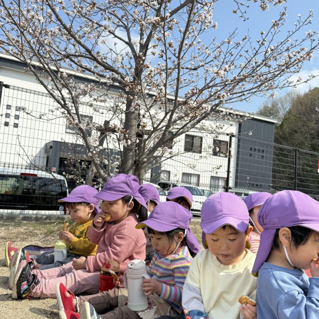 🌸お花見したよ🌸  　～2歳児 　クマ組～