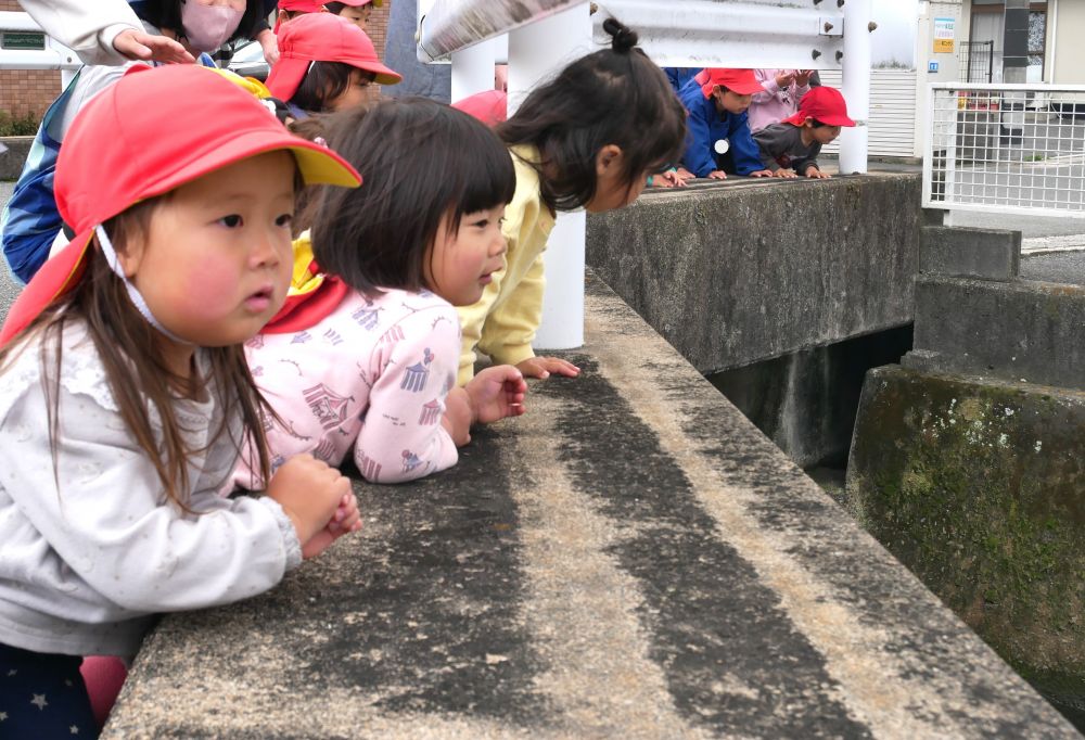 『あそこに鴨さんがいる！！』
『違うよ～サギさんだよ！！』
『見てみて動いた～』
ここを通ることが大好きなリス組さん