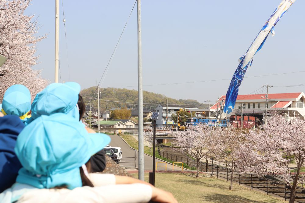 今年は入園式、入学式に合わせたような見事なタイミングで咲き誇ってくれた桜の花
少しづつ緑の葉も出始めた今日この頃
「桜の木の下で写真を撮りたい!」
職員の思いでシニアカフェにお散歩に行きました
シニアカフェに行く途中にも桜はたくさん咲いています
こいのぼりと貨物列車と一緒に!