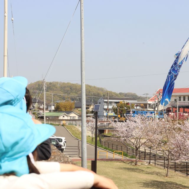 ＊　4歳児　お花見　＊