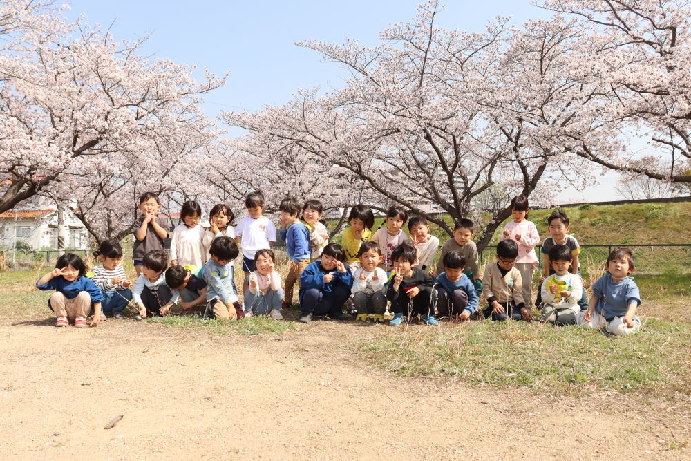 最近は良い天気が続き、毎日がお散歩日和です
開花期間が一瞬だからこそ?桜には素晴らしい魅力を感じます
園庭にも植えたいですが、管理が素人には難しいようなので見送っています・・・
ちなみに尾道の「市の木」「市の花」は共に桜です