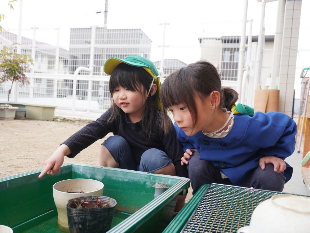 ふと目について…
「あっめだかがいる！」
「こんなにいっぱいいたんだね～」
「あそこにも隠れてた♡」
生き物の発見と観察を楽しむ♡