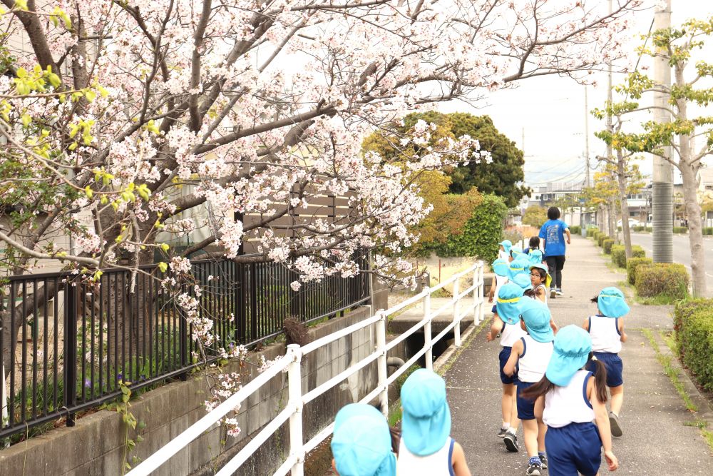 夕方の天気は雨予報・・・
桜も今日が最後かな？？

たくましく走り抜けていきます