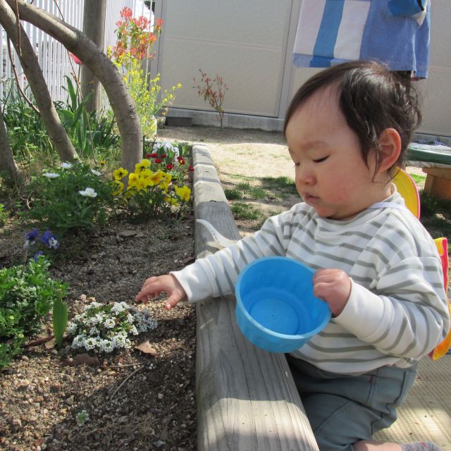 ＊　０歳児　お外で・・・　＊