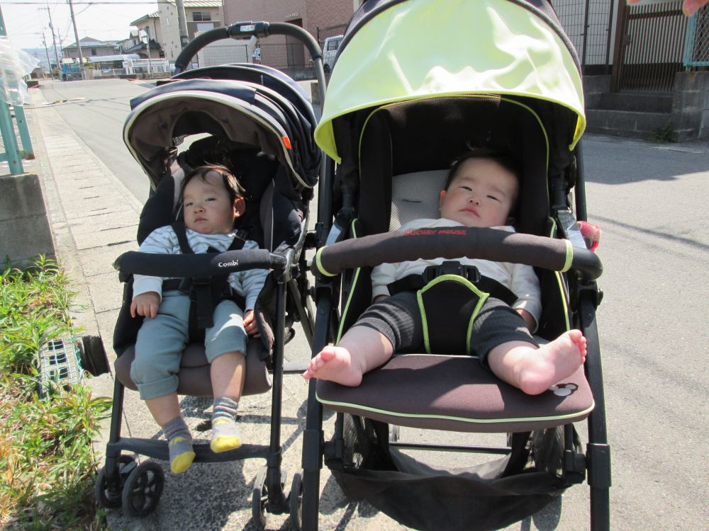 ベビーカーに乗っておさんぽへ
草花を摘んでみたりちょうちょをみつけたりたのしみました
そして、気持ちがよくなりスヤスヤ♡
まだまだ春を楽しみます