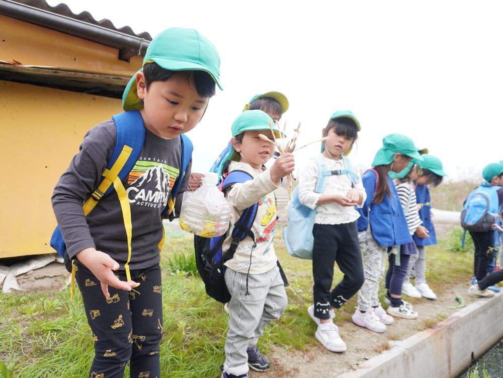 ただ見つけてとって帰ることを楽しむだけでなく
花を生けたり… 生けた花の水替えをしたり…
”その後のことも楽しみながら自分達でやっていく”
ということを大切にしていきたいなと思っています♡
大人も花の水替えは忘れがち…
子ども達と一緒に!やっていきたいです♡
「ホトケノザがあったよ~」
「つくしがいっぱいある!!」
「タンポポもあるね!」
春の草花をたくさん発見しました♡