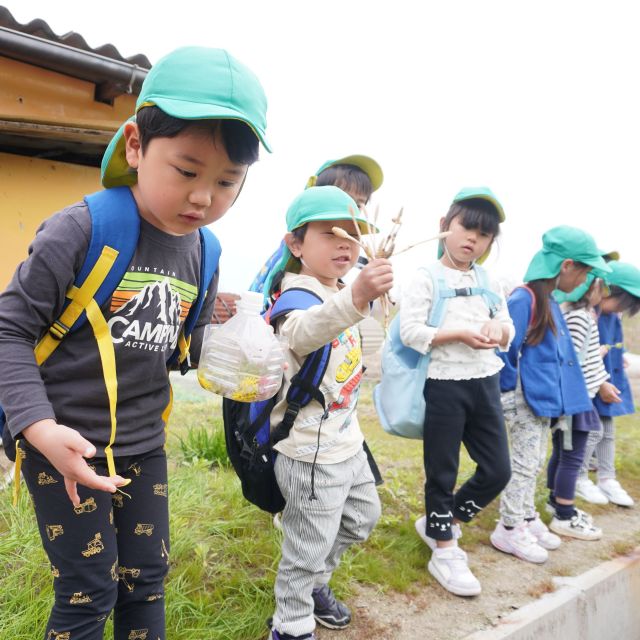 ＊　5歳児　見つけた草花を　＊