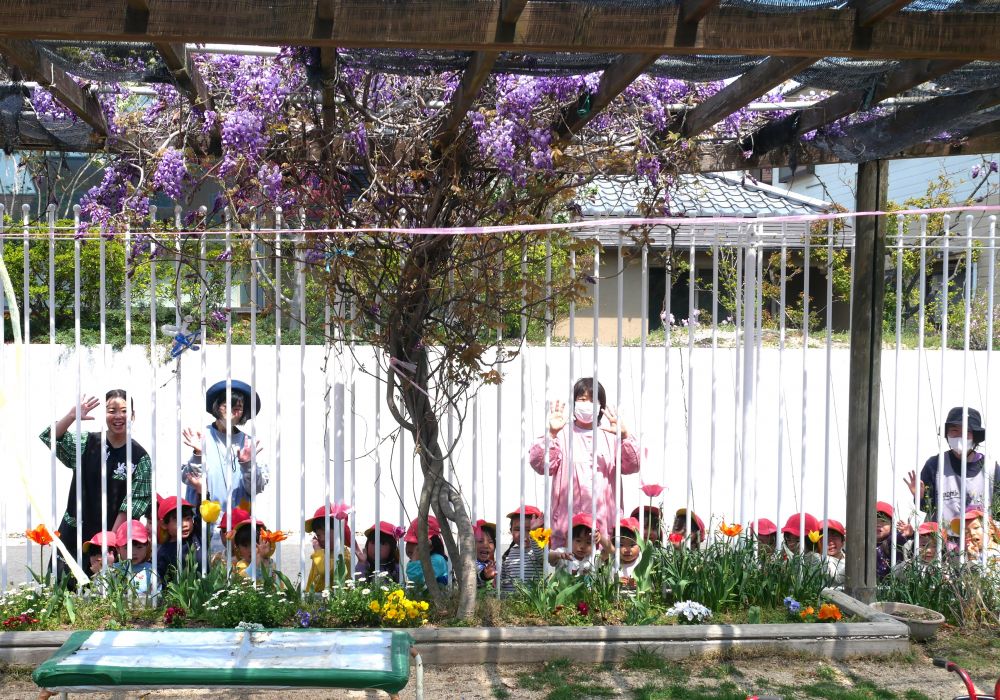 ゆめはうすが見えてくると・・・
『ここヒヨコ組さんたちの部屋?』
『このお庭でも遊んでみたいな~』と子どもたち
チューリップや藤の花・・・
どこを見ても春・春・春でいっぱい♡