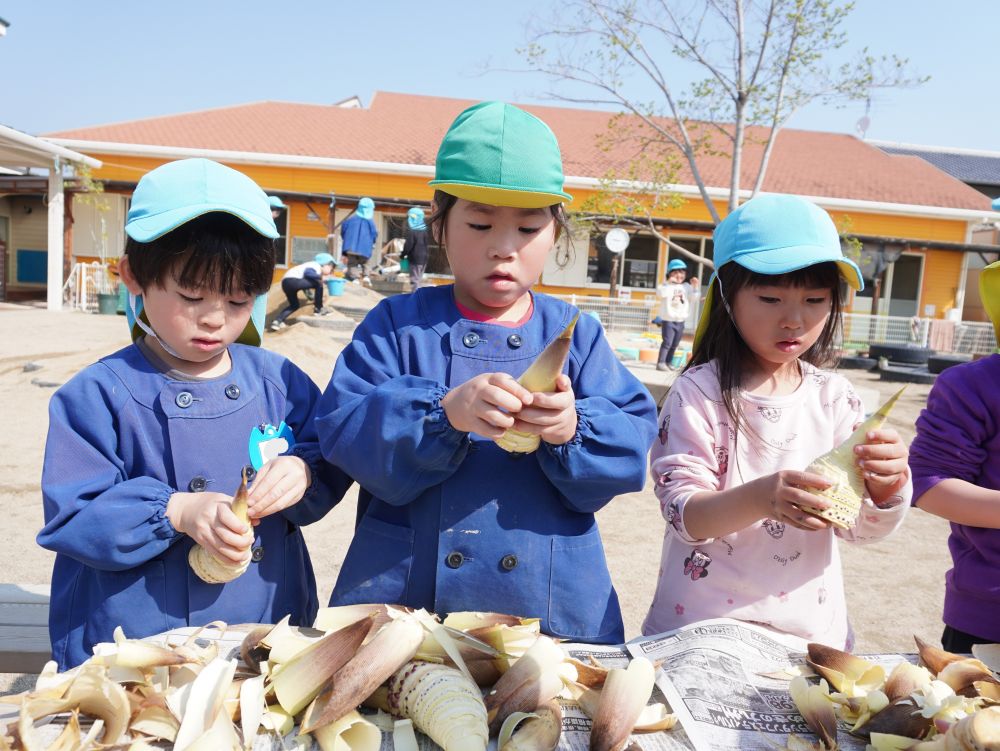 園長先生のお友達が持って来てくれた”たけのこ”
見たことのある子は多くても
匂いを嗅いだり皮を剥いたりしたことのある子は少ないかも・・・
食に触れる経験も園では積極的に取り組んでいます♡
「たけのこって春の食べ物だよね」
「へーそうなんだ!」
クラスで野菜クイズをしているキリン組さんが
”旬”のことを教えています♡