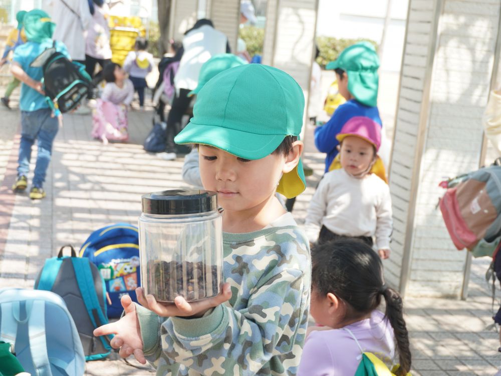 さすがキリン組さん!大量です!
この豆がどう遊びに使われていくのか…
楽しみです♡