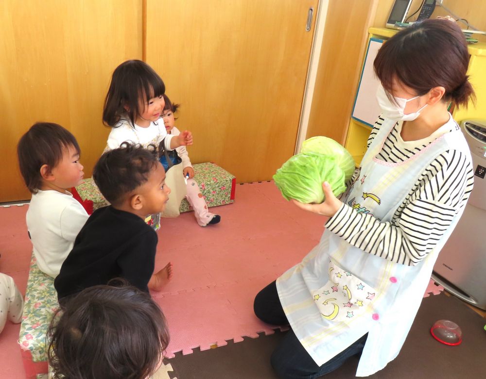 給食の先生が『キャベツ』を見せてくれました♪
きゃっきゃ キャベツ
まるごと ひとつ
