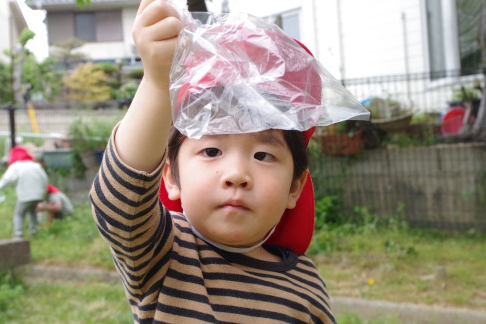 カラスノエンドウの茂みで、てんとう虫を発見✨

Nくん「どこにおる？」
Jくん「今度は黒いのもさがそー！」
Aくん「おれはこの豆ほしい！」

それぞれ興味の広がり方が違っていておもしろい！
いっぱい捕まえたよ！！