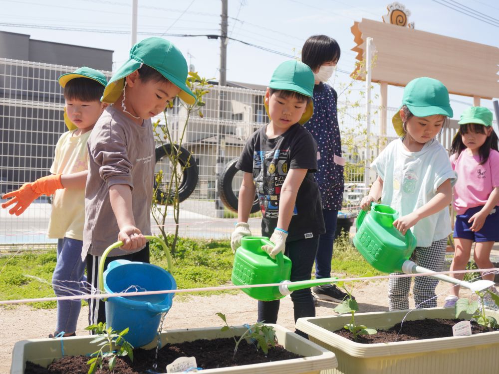 「お水はあげすぎても良くないんだって」
「お昼じゃなくて朝にあげるんだって」
”どうして水はあげすぎたらいけないのか”
”どうして朝にあげるのか”
みんなでどうしてだと思うかをまずは考え
先生に正しい理由を教えてもらう…
みんなも一緒に考えることで新しい知識がより頭の中に
インプットされたのではないかなと思います♡
