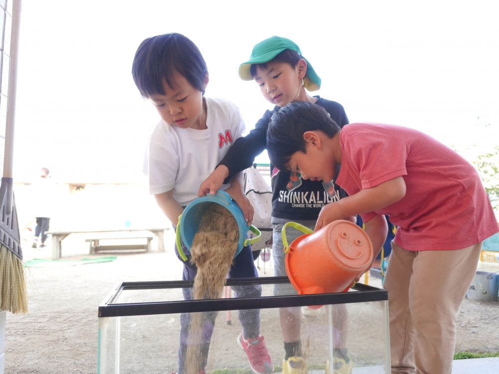 計3匹になったトカゲたち・・・
今までの家では狭いため家を大きくしよう!
土を運んだり…石を見つけたり…
飼育するための準備も子どもたちと一緒にやっています♡