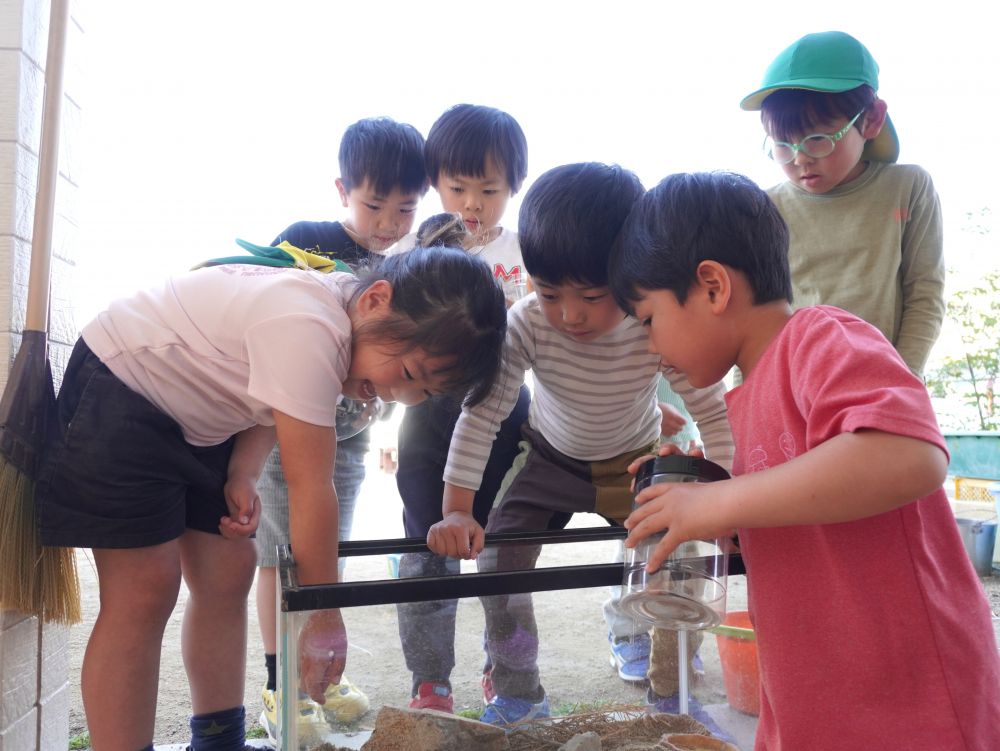なにも怖がる事なく触れる子ども時代・・・
触りたい!手に持って遊びたい!
「トカゲは変温動物だから触ったら体の温度が変わるんよ!
じゃけあんま触らんほうがいいんよ!」
お迎えの時にSちゃんのお父さんが教えてくれました♡
また一つ新しいことを知ることができたね!
