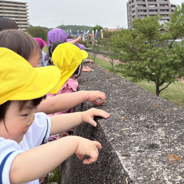 お弁当の日🐤