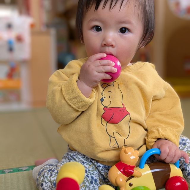 新しいおともだち　　～０歳児　ウサギ組～