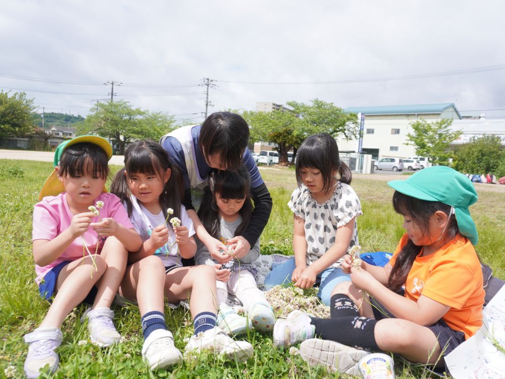 指先の器用さ・・・
最後まで諦めない忍耐力・・・
自分でやりたいという思い・・・
できたときの達成感・・・
楽しい遊びのなかで思うこと 感じること 身につくことがたくさんあります♡
シロツメクサでかんむり作り!
先生が作っているのを見て興味をもち挑戦しています!