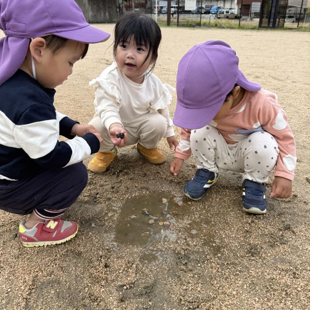 雨上がりのおさんぽ  　～2歳児 　クマ組～