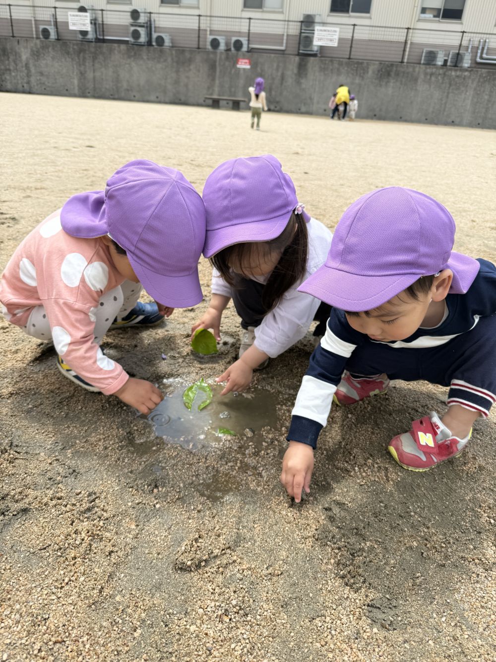 「Rは、はっぱいれてみる!」と、Rちゃん。
はっぱを浮かばせてみる🌿
石…はっぱ…色々な物を浮かばせて、
実験していました。
子ども達同士で、やりとりもしながら、
「みて!」「すごいね!」「おもしろいね!」と、
遊びの楽しさを共有する姿も…♡