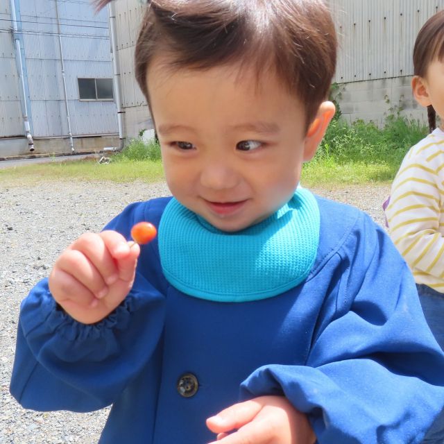 🐻新しいお友だち🐤