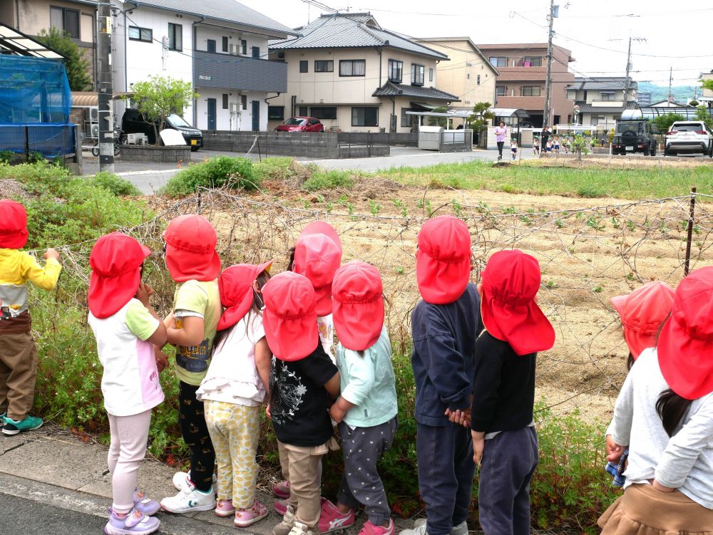 園の周辺を散歩していると
様々な発見がありました
気付きを言葉にして伝える姿がみられます
歩いていると・・・
『あれ?あの緑の帽子はキリン組さんかなぁ・・・』
『多分そうだよ!!』
マラソンをしているキリン組さんをみ~つけた!!