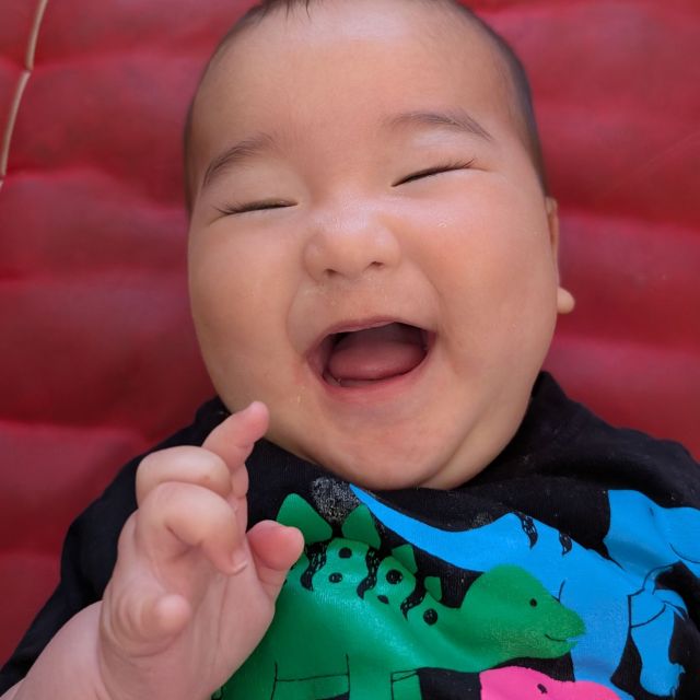 新しいおともだち　　～０歳児　ウサギ組～