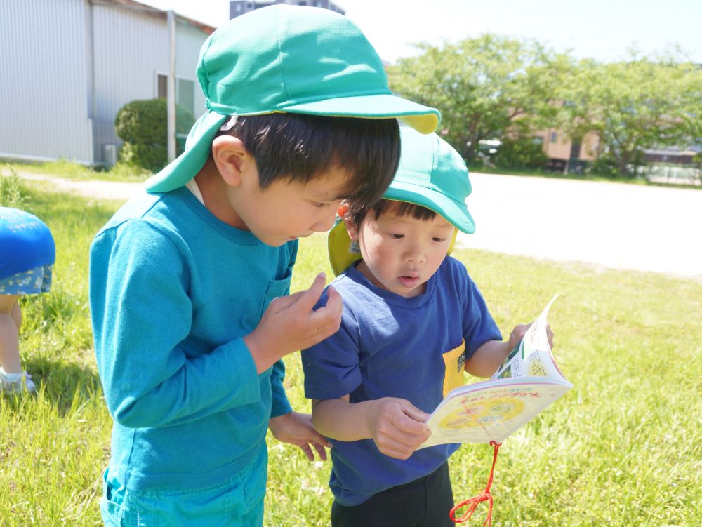 「さっき見つけた虫は…」
「あっこれじゃない!?」
見つけた虫がなんの虫か…
図鑑で調べる♡
