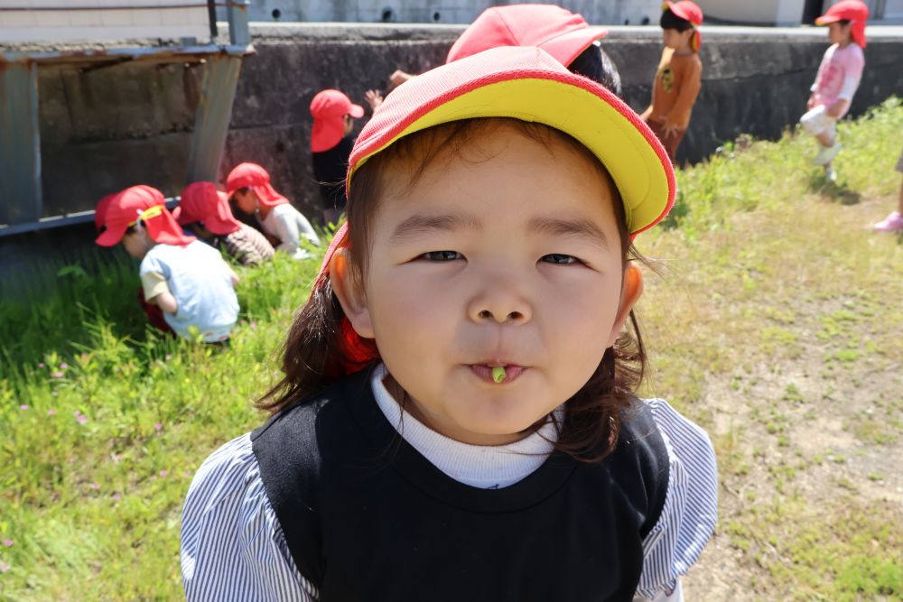 吹く量や吹き方によって
音がなるか鳴らないか決まってくる豆笛
大人でもなかなかコツが必要 ・ ・ ・
『この豆って音が鳴るんだよ』
その声に目をキラキラ輝かせるRちゃん
豆笛を作ってもらい挑戦してみると
【プ〜♪】
なんと一発で成功♡
【プ〜♪ プ〜♪】
とっても得意げのRちゃん