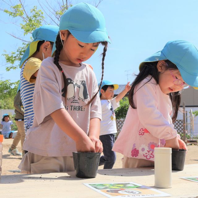 ＊　４歳児　種を植えたよ②　＊