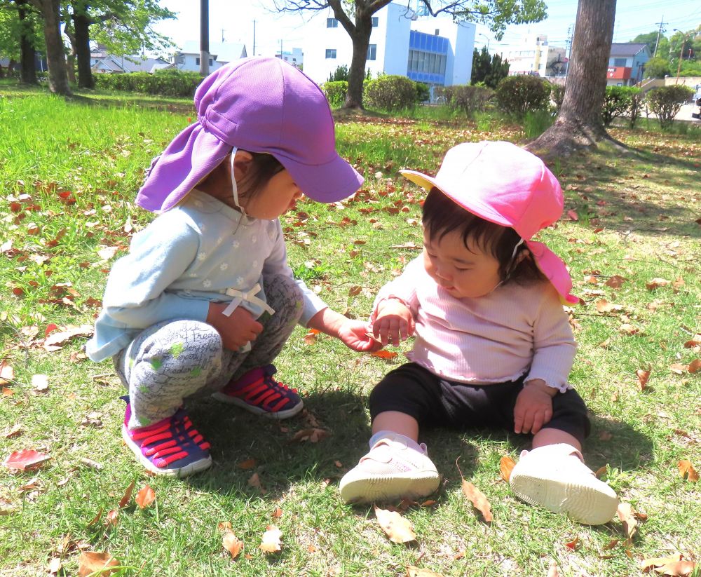 葉っぱ、見つけたよ✨
「どうぞ♪」