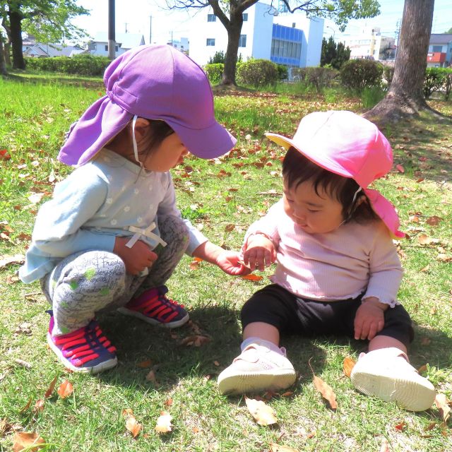 公園で見つけたよ💗