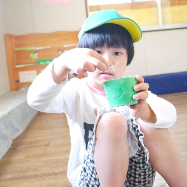 調べる…　＊５歳児＊