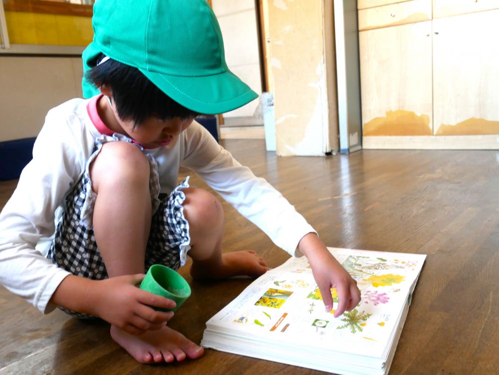 絵本の部屋に行き、花が描いてある
絵本をパラパラ開くKちゃん
すると、たんぽぽのページを発見♪
何度も何度も重ね合わせながら
合っているかを確認…
