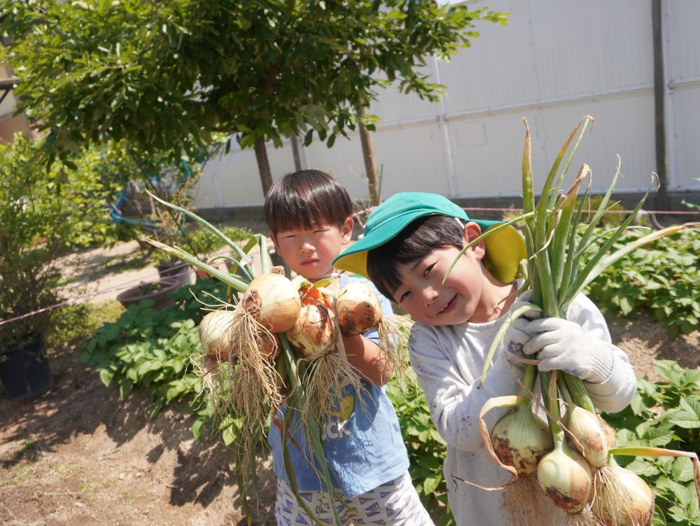 「めっちゃ重いー!」
「からい匂いがするね~」
「普通のたまねぎじゃないんだって」
「しんたまねぎって言うんだって!」
