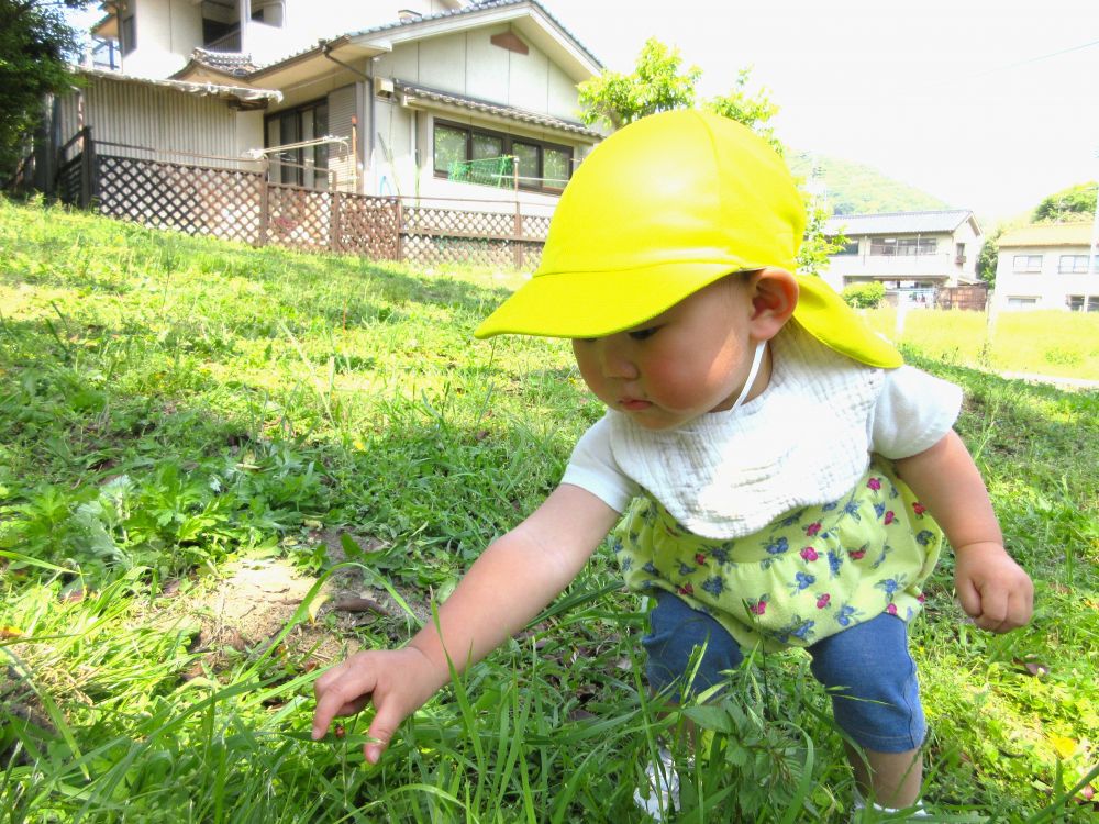 てんとうむしを見つけたSちゃん
捕まえたと思ったら手のひらの隙間から逃げていくてんとうむし
なんとか捕まえようと諦めず追いかけていきます
最後は、てんとうむしの方から手の甲に登ってきてくれて、捕まえることに成功しました😊