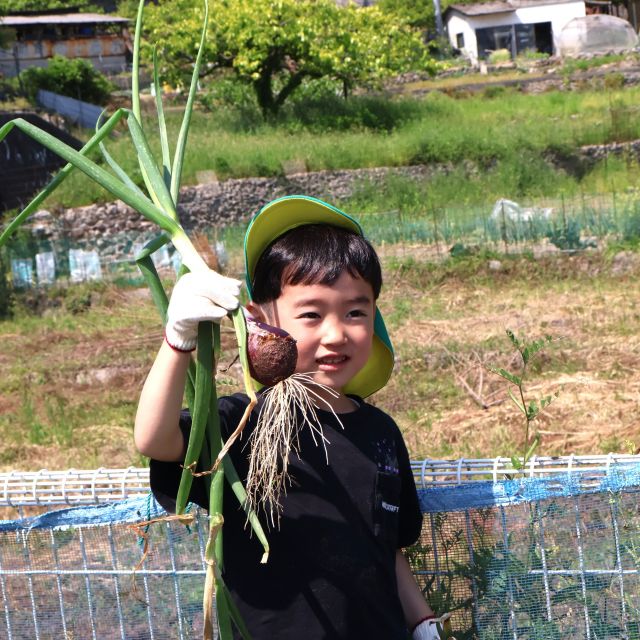 菜園活動②　＊５歳児＊