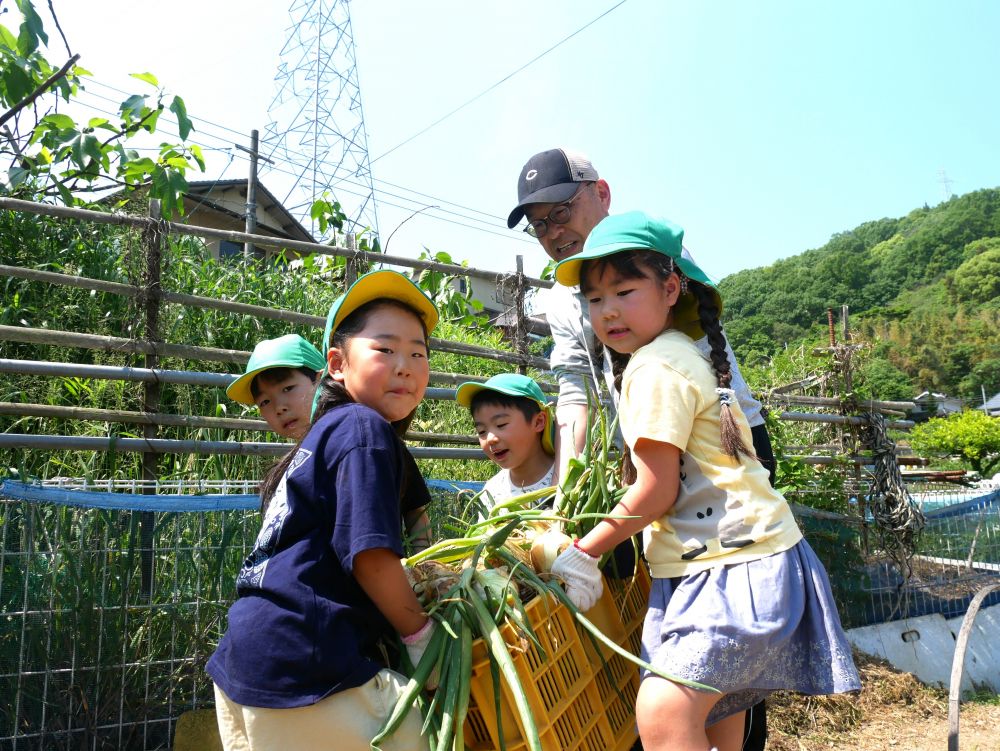 「せーの!!」 「持って~」 「手伝おうか?」
カゴいっぱいの玉ねぎをみんなで協力して運ぶ