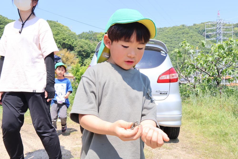 終わってからは大好きな虫探し
カナブンに幼虫、ゾウムシ…手の平いっぱいに
虫を捕まえたSくん