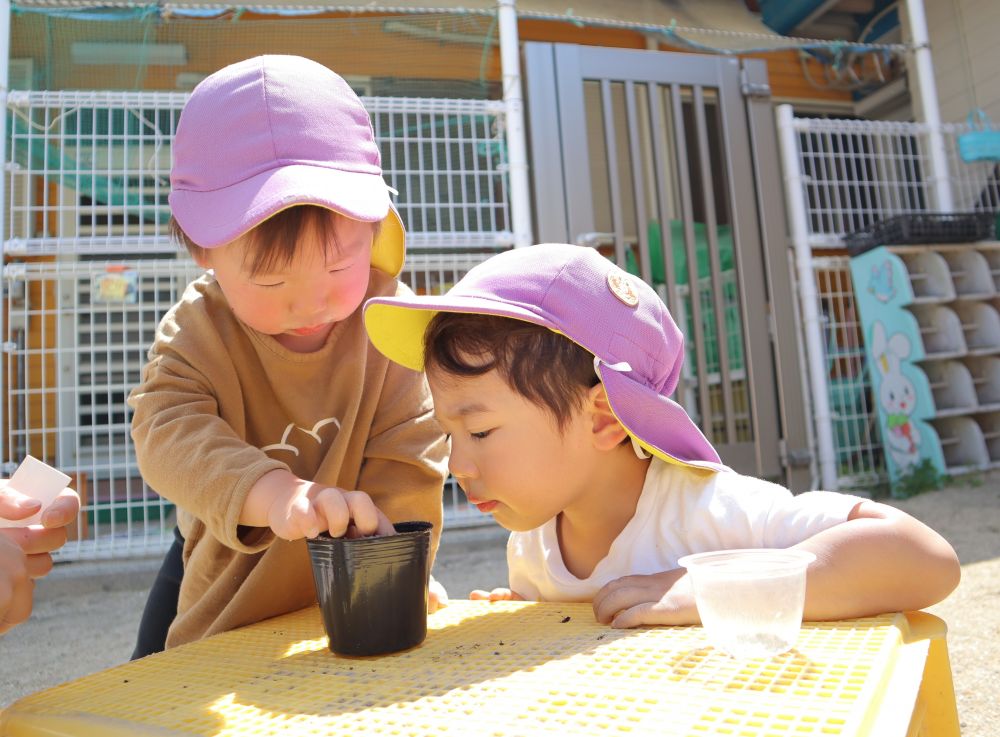 園庭でアサガオの種を植えました
まずは種の部屋を作るところから・・・
「ここにするー!」
人差し指をつかって
自分の植えたいところにゆっくり穴を開けるR君
「Nもやりたい!どうやってやるん?」
R君のそばで、植え方を真剣に観察中・・・