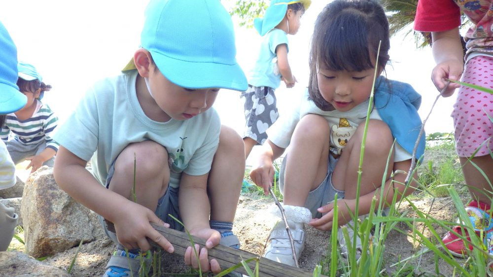 その季節ならではの楽しみを見つけながら
自然遊びに夢中になる…
シニアカフェで今日もたくさんの発見が♡



　「みて！ミミズよ！」
　「土にもぐりょーる！」
　「でも、どうやって捕まえる！？」
石を動かすと大きなミミズを発見☆
動き方をじーっと観察したり
木の枝を使って捕まえようとしたり…