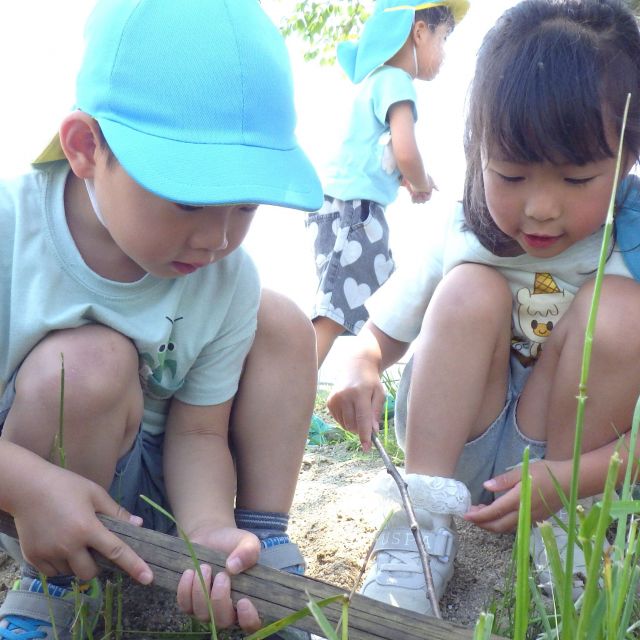 ＊　４歳児　シニアカフェでみーつけた！　＊