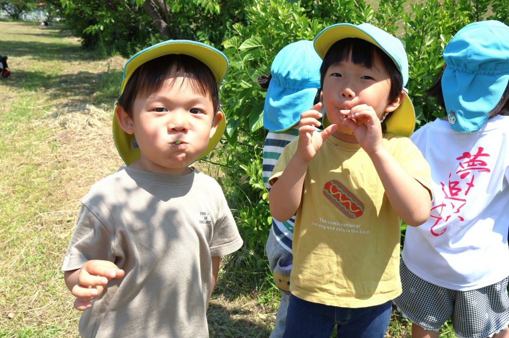 豆笛にも挑戦☆
　「なかなか鳴らんよ～」
　「息は出てるはずなんだけど…」　
　「新しいのにしてみよ！」
友達の姿を真似ながら
吹き方や向きを調整してみる！

何度もやってみたけど、鳴らない…
　「今度は絶対吹いてみようね！」
次の楽しみがまた１つ増えたね♡