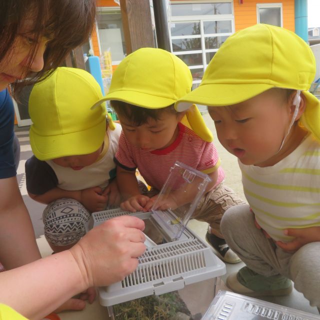＊　 1歳児　生き物っておもしろい！　＊