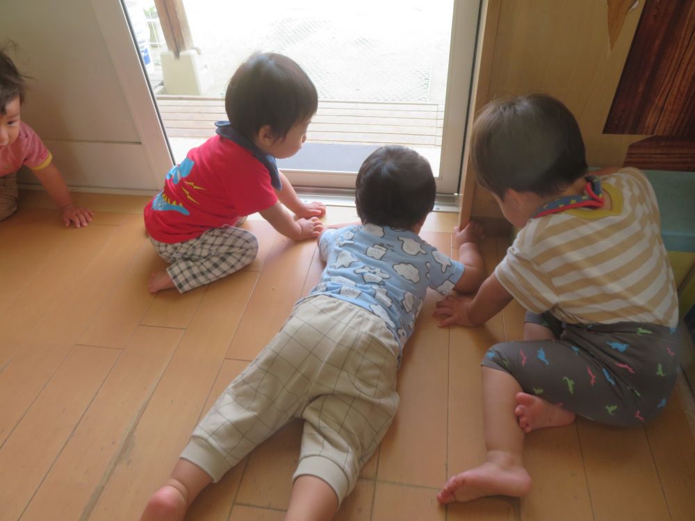 生き物がいるのは外だけではありません
網戸にくっついていたのは・・・糸トンボ
どこからか迷い込んだようです!
虫好きな子がすぐさま集まり観察開始!
