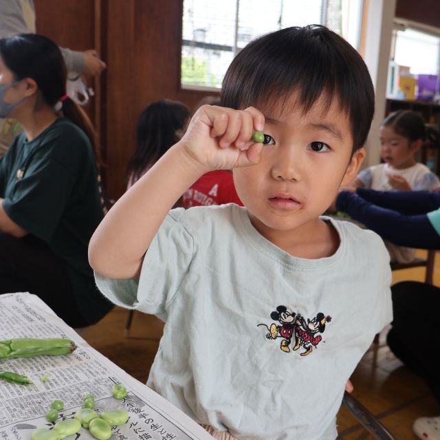そら豆の皮むき②　＊３歳児＊