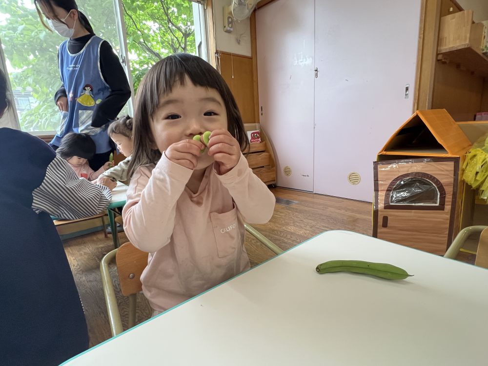 クンクン・・・匂ってみたよ。
どんな匂いかな??