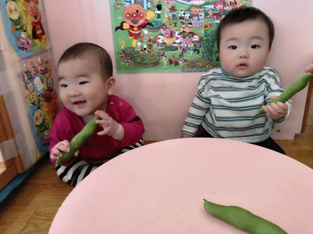 今月の食育の日の食材は『そら豆』
給食の先生が、新鮮なそら豆を手渡してくれました😊
今にも食べたそうな顔をしていたOくん!