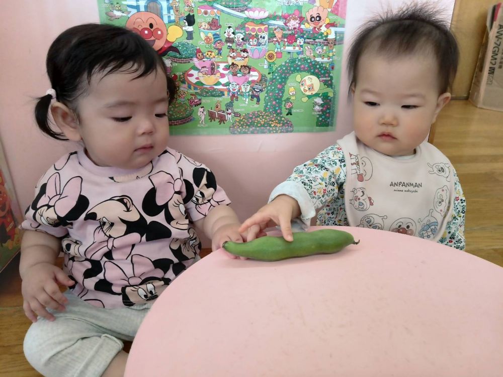 そら豆、冷たくてフサフサしていたね😊
初めての食育に”ドキドキ”な表情を見せている子もいました💓
